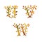 Stylized autumn leaf tree alphabet - letters U-W