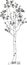 Stylized birch tree coloring page