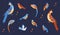 Stylized birds collection isolated on dark blue background. Vector illustration