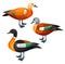 Stylized Birds - Shelduck