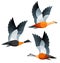 Stylized Birds - Shelducks in flight