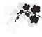 Stylized black orchid