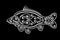 Stylized carp image. Maori ornament. Decorative fish. Black background.