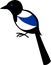 Stylized cartoon magpie on white background