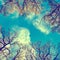 Stylized colorized vintage green branches and blue sky