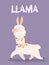 Stylized cute llama isolated on purple background. Vector illustration.