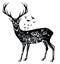 Stylized decorative deer vector ink hand drawn illustration