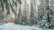 Stylized drawing, CINEMAGRAPH, 4k, falling snow in the winter forest, loop