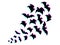 Stylized element for design. A flock of bats is flying. Vector