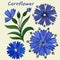 Stylized, embroidered elements, cornflower flower. Vector