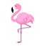 Stylized flamingo isolated on white background. Vector illustration.