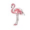 Stylized flamingo painted by hand in ink