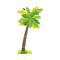 Stylized flat style cartoon coconut palm tree