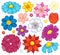 Stylized flower heads theme set 1