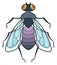 Stylized fly icon. Decorative wild winged insect