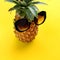 Stylized fruit major pine apple glasses vacation