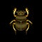 Stylized golden scarab on black background.