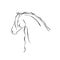 Stylized Hand Drawn Friesian Horse