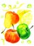 Stylized hand drawn watercolor illustration with imposition of apples, lemons and pears