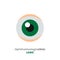 Stylized human eye logo for ophthalmologic clinic or surveillance camera agency. Flat vector illustration isolated
