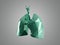 Stylized human low poly lungs