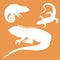 Stylized icon of lizard chameleon and iguana in white on a color