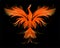 Stylized image of bright colorful Phoenix on black background