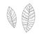 Stylized leaf - vector illustration by thin lines. leaf twig tree, bush. plant - coloring book in flat style