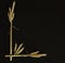 Stylized letter L from ripe poured wheat ears on black background. Symbolic concept - life, love, loved, luck, letter, lovely,