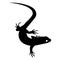 Stylized lizard. Black white reptile illustration. Vector logo lizards. Tattoo.