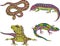 Stylized motley snake and lizards