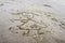 Stylized outlines of children drawn in wet grainy sand at beach