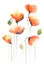 Stylized poppy flowers painting