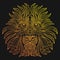 Stylized portrait of a lion. Ornamental portrait of a wild