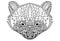 Stylized portrait of a raccoon. Ornamental portrait of a bear. The head is a small panda. Linear Rath. Zentangle. Tattoo