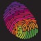 A stylized rainbow fingerprint