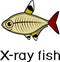 Stylized X-ray fish or Pristella maxillaris with title