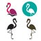 Stylized silhouette of a Flamingo