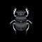 Stylized silver scarab on black background. Silver gradient.