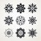 Stylized Snowflake Design: Delicate Flowers In Black And White