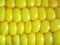 Stylized texture of ripe boiled corn