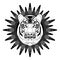 Stylized tiger head on star shape background, symmetrical drawing in monochrome design, white and black. Useful as emblem, tattoo