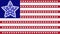 Stylized USA flag USA.Super-Star pattern. Vector.