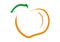 Stylized vector mandarin icon