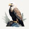 Stylized White-tailed Eagle Illustration On Rock