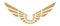 Stylized wings icon. Golden winged logo in vintage style