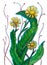 Stylized yellow wild flowers dandelion