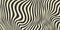 Stylized zebra pattern. Retro wavy fluid stripes and stains background. Abstract monochrome texture in 60s or 70s style