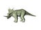 Styracosaurus