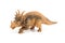 Styracosaurus dinosaur figure toy isolated on white